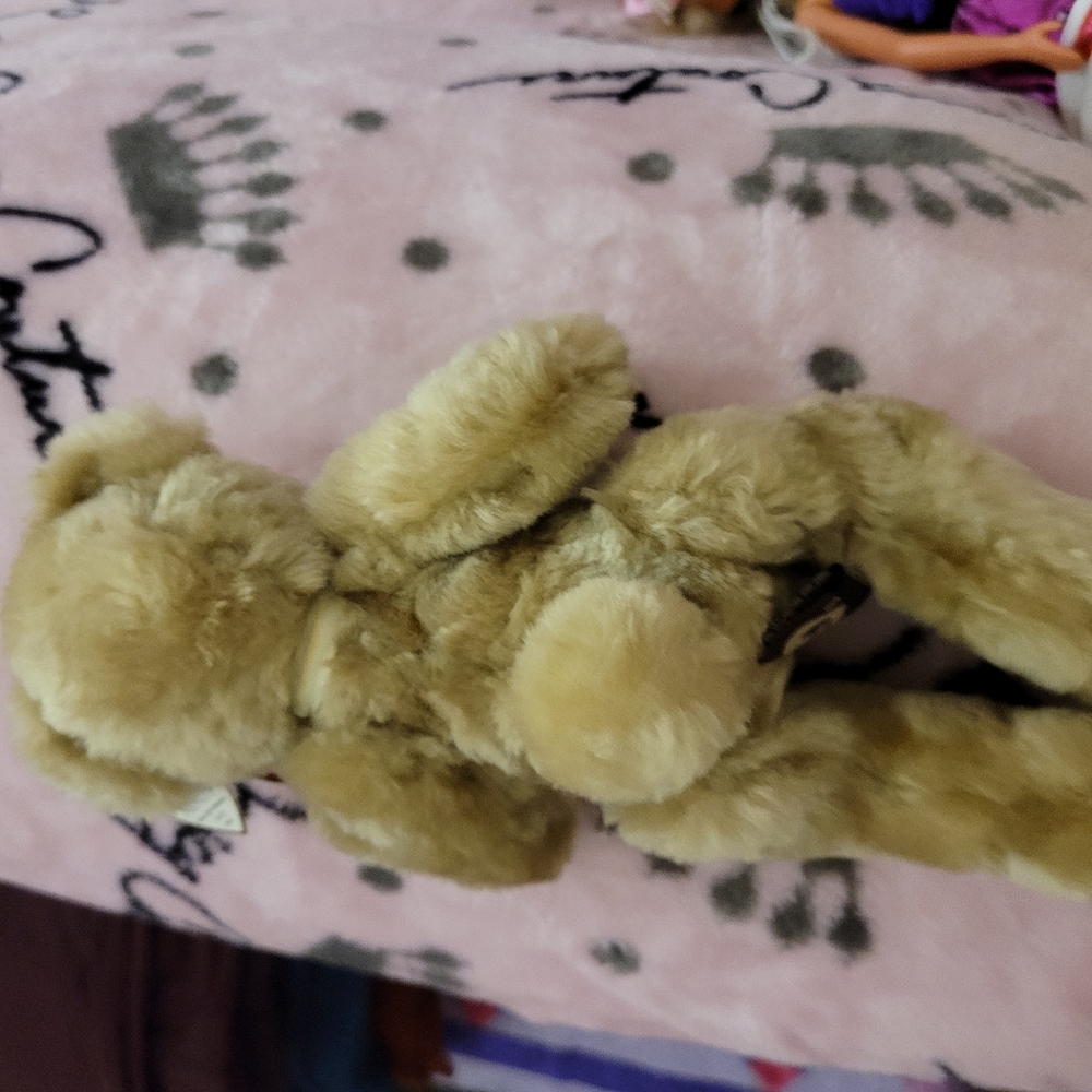 Ty bear - Picture 4 of 4